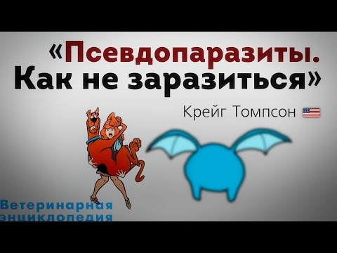 Видео: Псевдопаразиты как не заразиться. Pseudoparasites