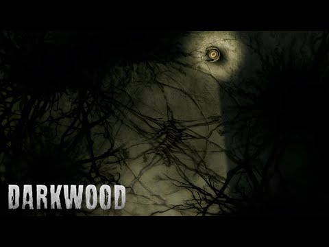 Видео: СМЕРТЬ ВСЕМУ ЖИВОМУ ▷ Darkwood #13