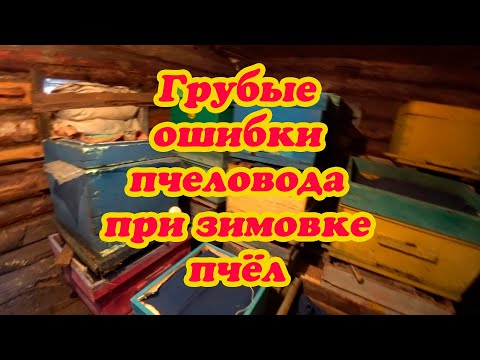 Видео: ГРУБЫЕ ОШИБКИ ПЧЕЛОВОДА ПРИ ЗИМОВКЕ ПЧЁЛ.