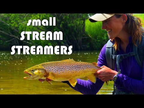 Видео: Нахлыстовые стримеры для ловли форели на небольших ручьях — советы и тактика привлечения форели н...