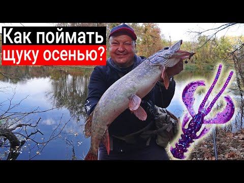 Видео: Как поймать щуку осенью? Рабочие проводки и приманки. Почему Nimble должен быть в сумке рыбака?