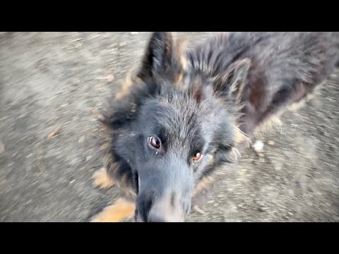 Видео: Жесик АСТАНАВИТЕСЬ