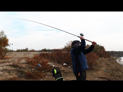 Видео: Сырдарья. Чиназ. Режиссерская версия