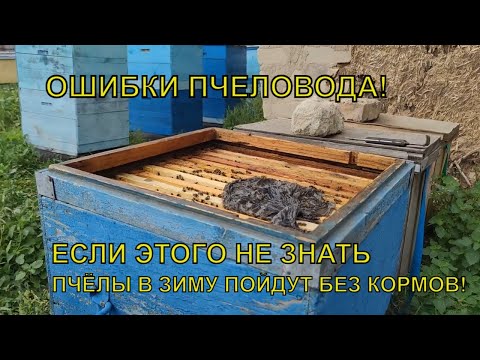 Видео: ОШИБКИ ПЧЕЛОВОДА НЕПРАВИЛЬНОЕ КОРМЛЕНИЕ пчёлы есть а кормов в зиму нет☝️🐝🐝