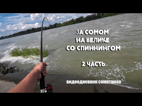 Видео: ЗА СОМОМ на ВЕЛИКЕ | Со спиннингом за сомом в наводнение 2 часть | видеодневник сомятника