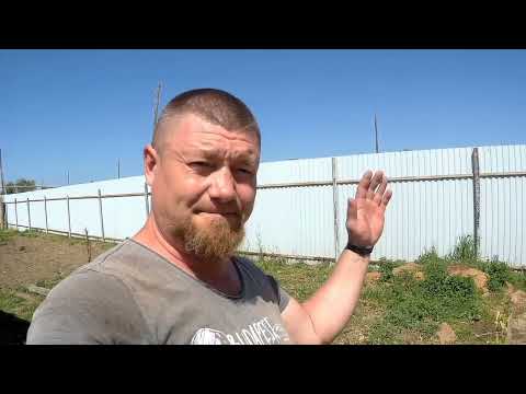 Видео: Мотоблок АГАТ ☆дебютная посадка картофеля☆