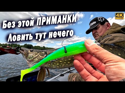 Видео: Без этой приманки ловить тут нечего. Рыбалка с Panoptix LiveScope