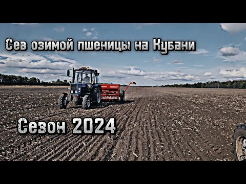 Видео: Старт посевной озимой пшеницы 2024! МТЗ-82.1+ АСТРА 4 PREMIUM