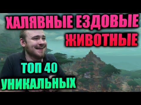 Видео: ТОП 40+ ХАЛЯВНЫХ КРАСИВЫХ И УНИКАЛЬНЫХ МАУНТОВ ИЗ РЕЙДОВ И ПОДЗЕМЕЛИЙ, СТАРОГО И НОВОГО КОНТЕНТА WOW