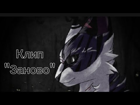 Видео: Коты-воители/Клип/Искра/"Заново"