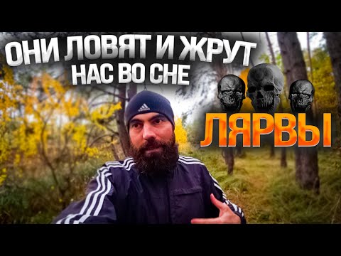 Видео: Лярвы пришли ко мне сегодня ночью