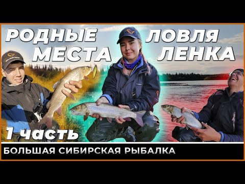 Видео: МНОГО ленков В ДВУХ протоках. Ловля ленка осенью на воблеры Savage Gear | Осенняя рыбалка. Спиннинг.