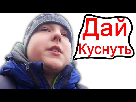 Видео: ПОПРОШАЙКИ В ШКОЛЕ