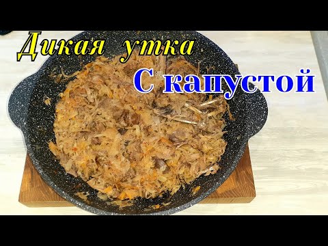 Видео: Дикая утка с тушёной капустой | Готовить всем