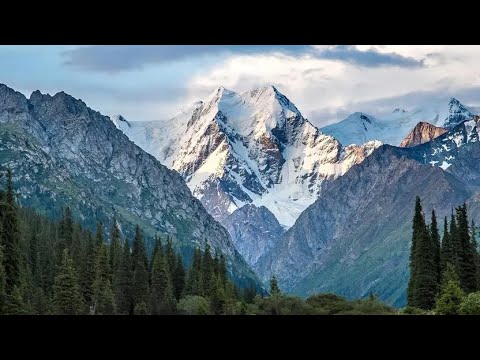 Видео: Жазым келчи 🫀 COVER REMIX