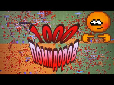 Видео: Закидал 3 сервер помидорами. Вы не поверите что из этого вышло/Zombix Online, Зомбикс онлайн