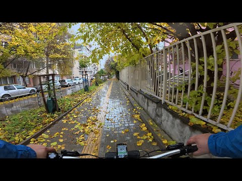 Видео: 11 ноември 2025г. Сутрешното видео. Малко валеше, но съм стигнал учудващо бързо!