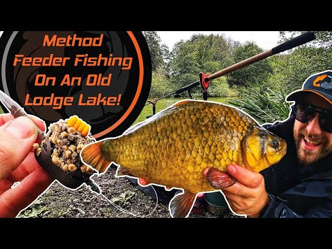 Видео: Методная фидерная рыбалка на прекрасном озере Old Lodge!