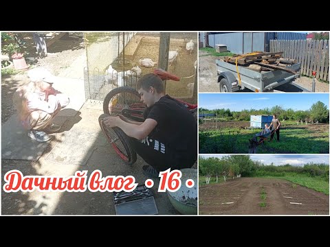 Видео: ЗАПАСАЕМСЯ ДРОВАМИ 🏡 НОВАЯ САДОВАЯ ТАЧКА // ПРОПОЛОЛА ГРЯДКИ, ПОСАДИЛА МАЛИНУ