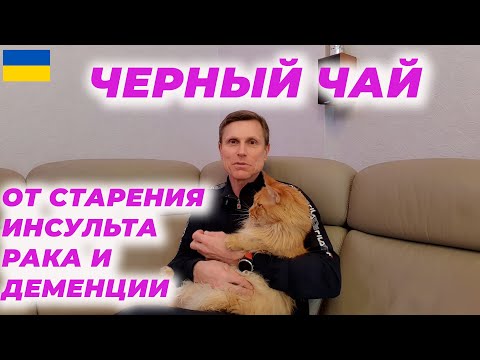Видео: Черный чай от старения, инсульта, рака и деменции.