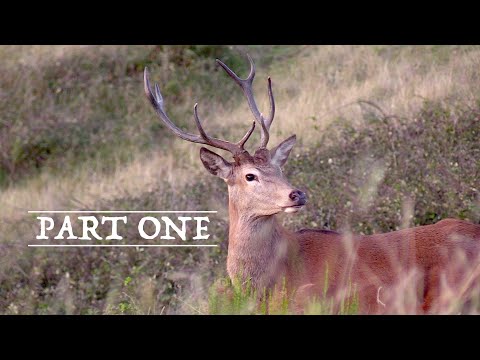 Видео: ГРОМ НА ГОРЕ часть 1
