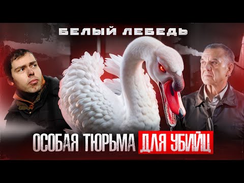 Видео: Тюрьма белый лебедь – Приговоренные. Где сидят самые опасные преступники. История колонии