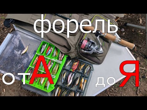 Видео: ФОРЕЛЬ спиннингом от А до Я на Кавказе. Лучшие воблеры на форель. Учимся читать реку. #troutfishing