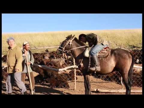 Видео: "Шалаш" "Күрке" фильм. Режиссер - Кенжебек Шайкаков