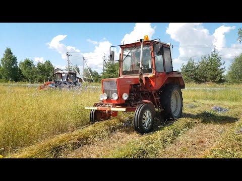 Видео: "Братский сенокос" Т-25 Wirax МТЗ 82.1 КРН 2.1 / КПИ 2.4 в работе / День Рождения у Комбайнера !