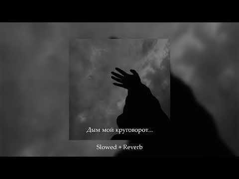 Видео: StaFFорд63 - Дым мой круговорот ✵ ( 𝚜𝚕𝚘𝚠𝚎𝚍 + 𝚛𝚎𝚟𝚎𝚛𝚋 )