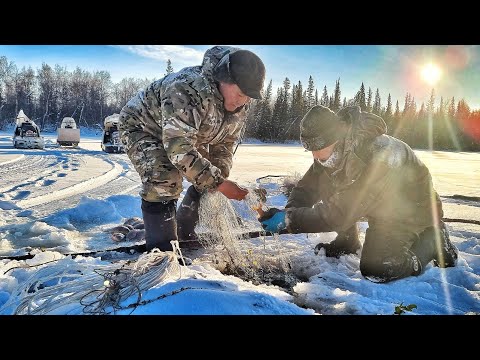 Видео: ПРОВЕРКА СЕТЕЙ В -30 И ОПЯТЬ ЖЁСТКО НАКАЗАН! САМОЕ СТРАШНОЕ ОЗЕРО ЯКУТИИ 2