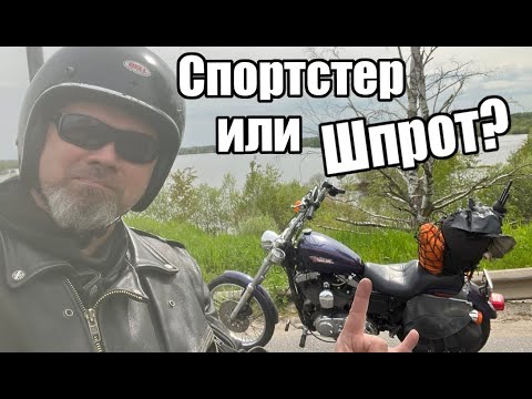 Видео: Спортстер или шпрот? Первая серия