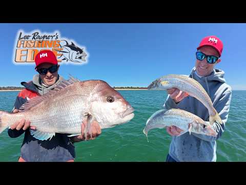 Видео: Вы решаете: успех Westernport Whiting против Snapper
