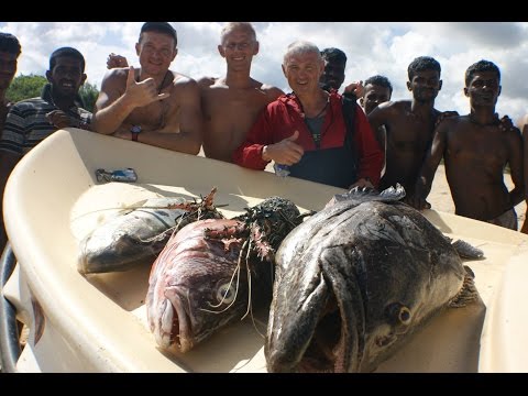 Видео: Однажды на Шри Ланке !!!