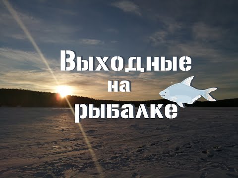 Видео: Выходные на рыбалке.  НАЛИМ на малинку:))) Волчихинское водохранилище.