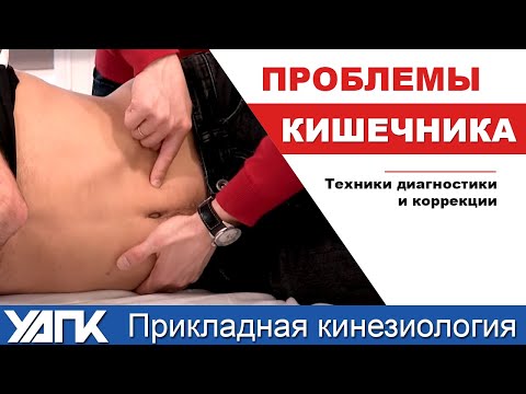 Видео: Техника работы с тонким кишечником (М.Савиных)