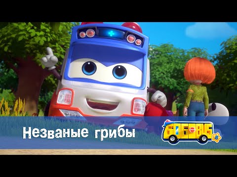 Видео: 🚌Школьный автобус Гордон. Сезон 8 - Серия 3.Незваные грибы - Мультфильм