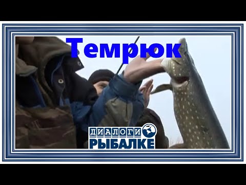 Видео: Диалоги о рыбалке -   099/ Темрюк