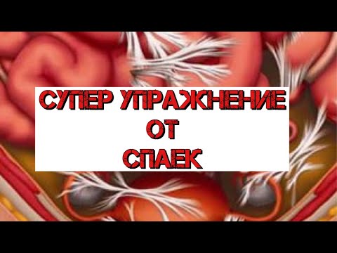 Видео: САМОЕ ЭФФЕКТИВНОЕ УПРАЖНЕНИЕ от СПАЕК #YouTubeТренды