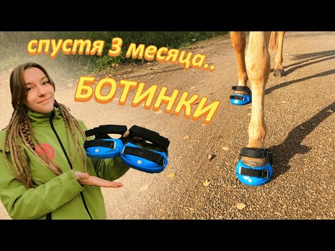 Видео: Что стало с КОННЫМИ БОТИНКАМИ из США спустя время? Плюсы и Минусы