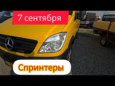 Видео: Авторынок Бишкека на 7 сентября. Спринтеры.двухскаты.дубль кабины.пассажирские.