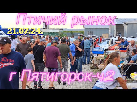 Видео: Голуби и цены Птичий рынок г Пятигорск -ч2