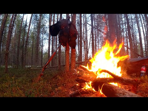 Видео: ОХОТА НА ГЛУХАРЯ-ВЕСЕННИЙ ТОК!  МЫ ПОПАЛИ В ОКРУЖЕНИЕ! КАРЕЛИЯ 2021!
