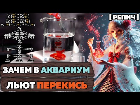 Видео: Как аквариумисты ПЕРЕКИСЬ на ДВА делили 🧪