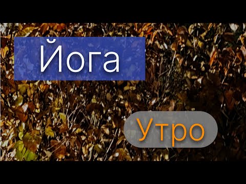 Видео: 21.10.2025. Утро. Йога. Мегаполис.