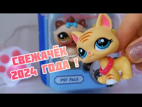 Видео: Littlest Pet Shop 2024 | Запоздалый обзор и сравнение нового поколения lps | Неужели всё так плохо?¿