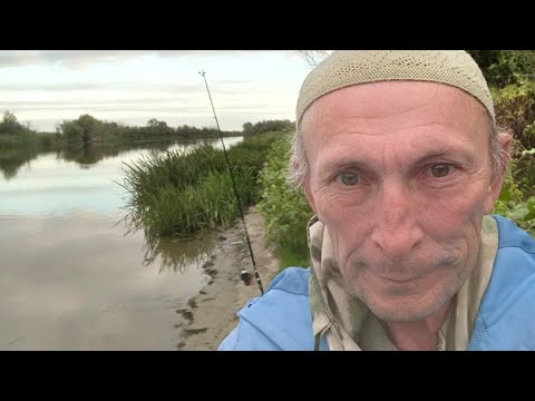 Видео: Прямая трансляция От крючка до прилавка А-М