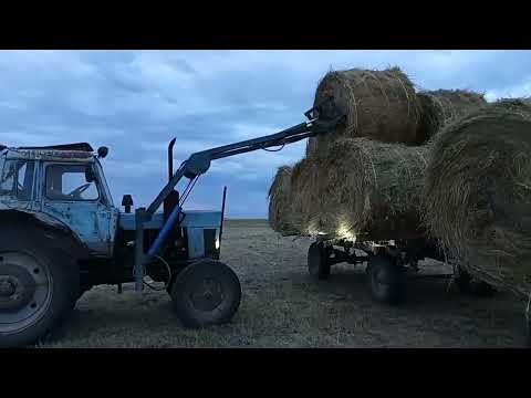 Видео: Ақтөбе облысы Байғанин Алтай батыр . Шөп науқаны 2022ж