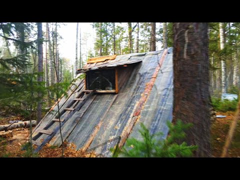 Видео: ОДИН В ДИКОЙ ТАЙГЕ СТРОЮ ЛЕСНУЮ ИЗБУШКУ.