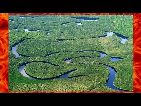 Видео: Супер рыбалка в водах Амазонки. Подборка лучших моментов!!!